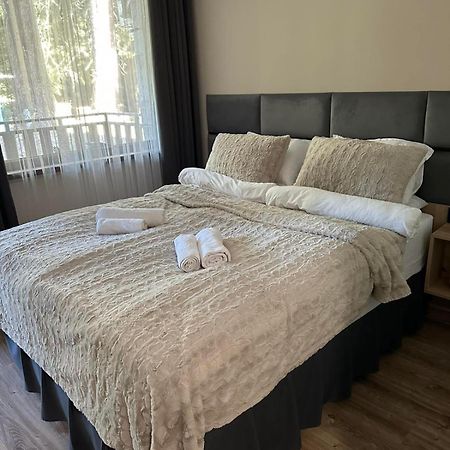 Cozy Riverside Pine Studio E5 Boroveț Exterior foto
