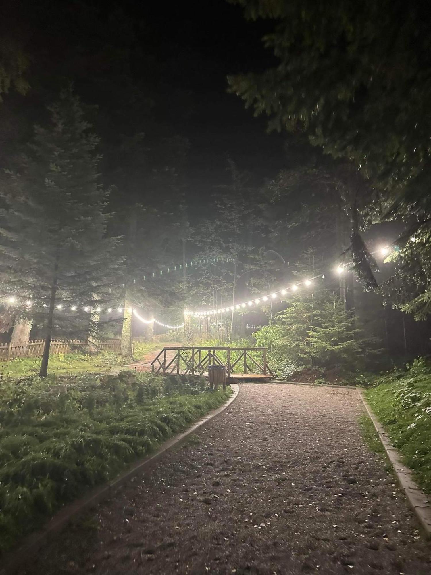 Cozy Riverside Pine Studio E5 Boroveț Exterior foto